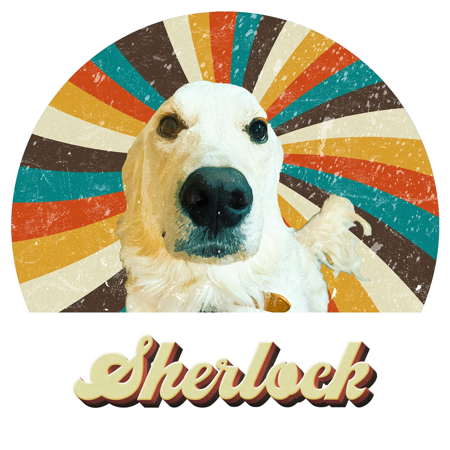 Custom Retro Vintage Pet Portrait Sweatshirt